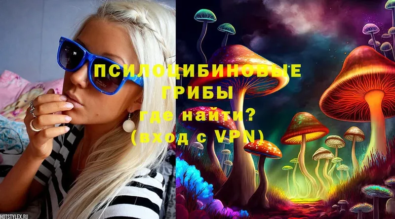 наркошоп  Николаевск-на-Амуре  Псилоцибиновые грибы Psilocybine cubensis 